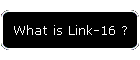 What is Link-16 ?